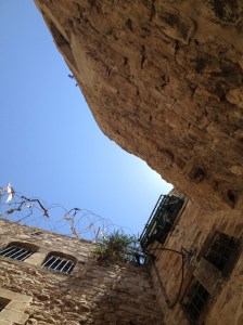 Beautiful skye wrapped in barbed wire